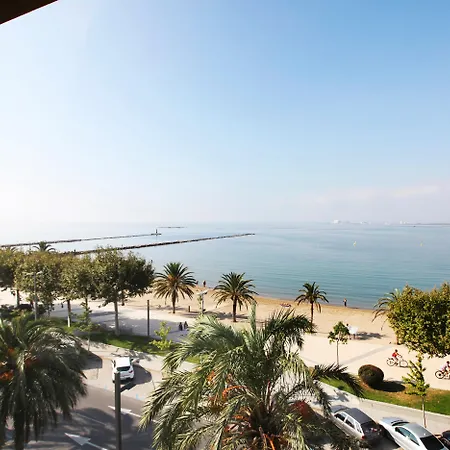 Prestige Mar Y Sol Ρόζες
